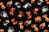 Cats Kitten printed Fabric by Timeless Treasures Fabrics by the Half Yard