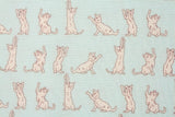オーガニックシャム猫プリント生地 韓国製抗生物質生地 半ヤード単位