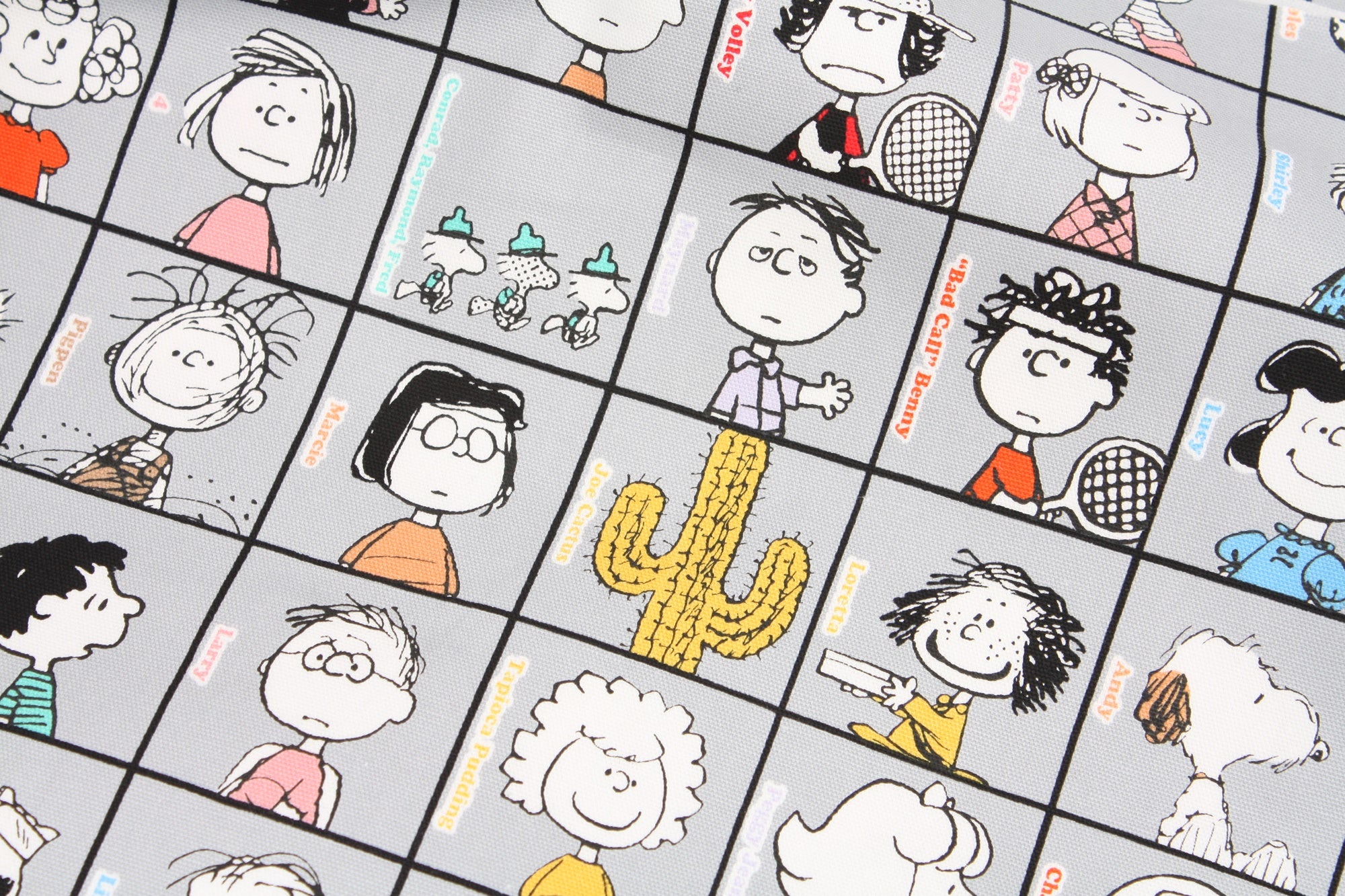 Snoopy Peanuts 75th Anniversary All Stars Oxford Fabric