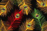 Peacock Feather Fabric Royal Peacock designed by Exclusively Quilters by the Half Yard