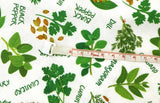 Herb Leaf Leaves Patterned Fabric made in Korea Half Yard